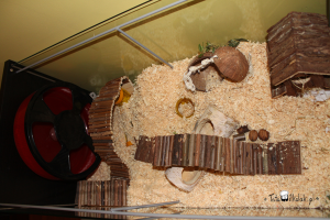 detolf-pzab