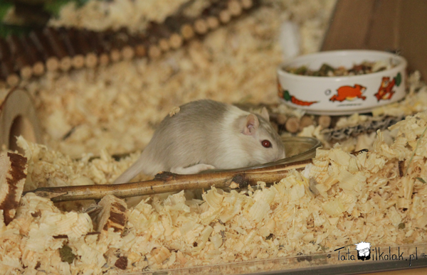 29.09.14-kilu
